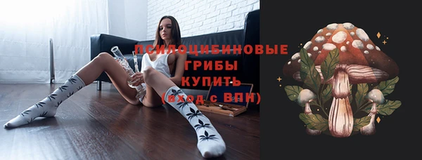спиды Верея