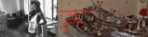 спиды Верея
