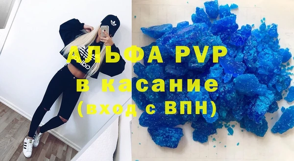 спиды Верея